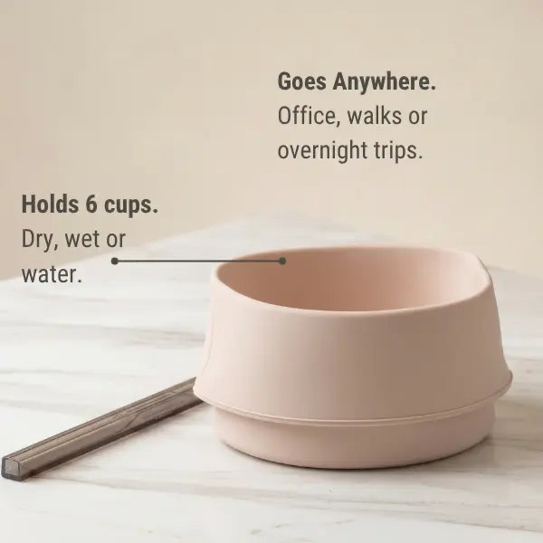 Mister Loyal 2-in-1 Travel Bowl