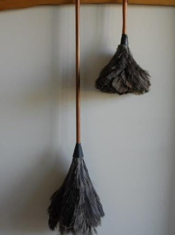 feather duster