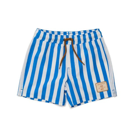 Board Shorts Deep Ocean Stripe