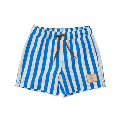 Board Shorts Deep Ocean Stripe