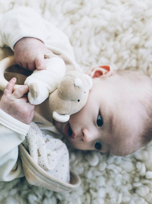 Baby holding teddy rattle and teething ring