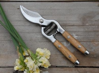 Secateurs with wooden handle